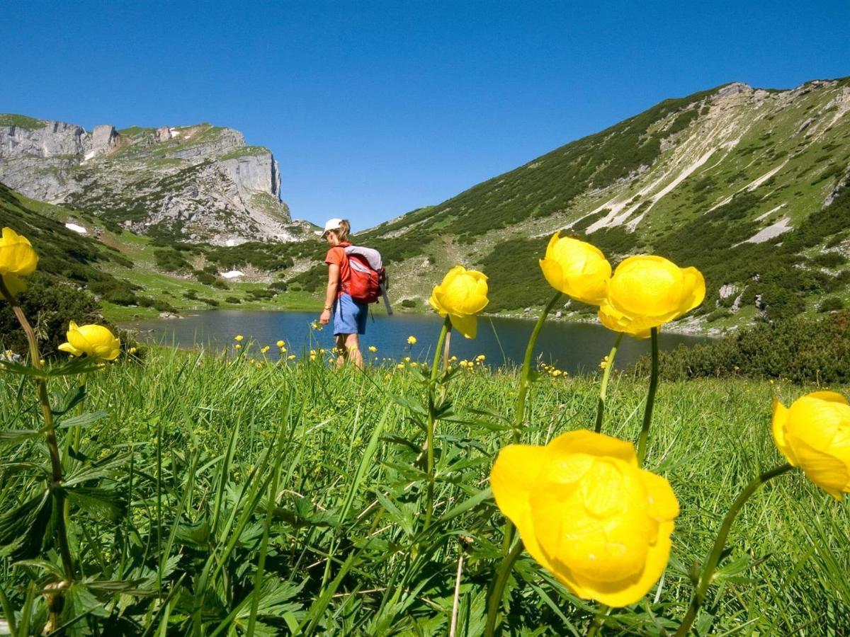 Apartment Near The Ski Area And Lake Reith im Alpbachtal Exterior foto